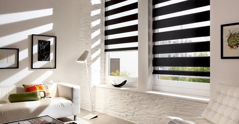 Modern Zebra Blinds